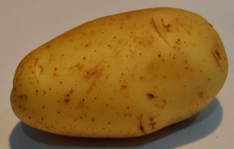 Conventional Potato